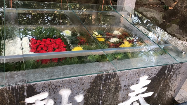 自分軸をすっきり立てて生きてゆくコツとは～の記事動画