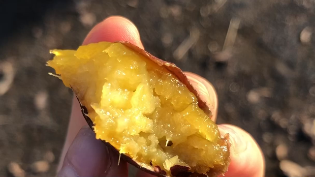 川崎区 ｢つぼ焼き芋 甘い和｣さん お邪魔しました！ 鶴田ちなみの記事動画