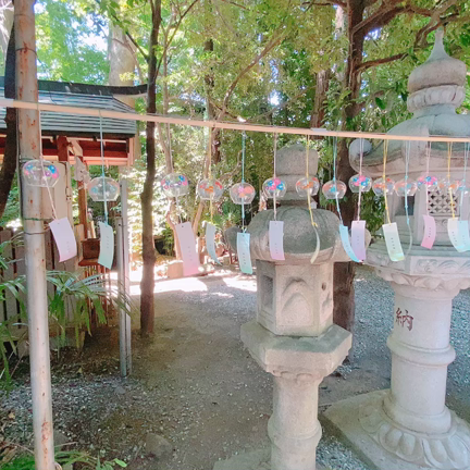 自分を丁寧に扱うこと。の記事動画