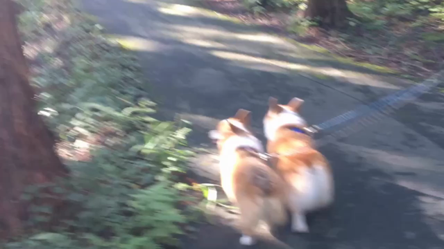 ＮＡＯ明野高原キャンプ場 続き♪の記事動画