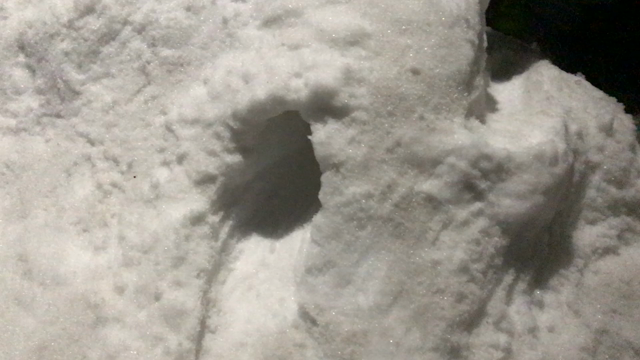 雪にご用心の記事動画