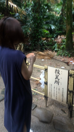 初めてMovieでものせてみよう。の記事動画