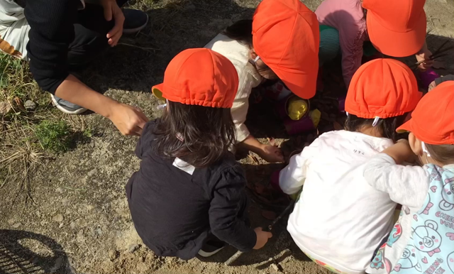 小さな体験を積む。の記事動画