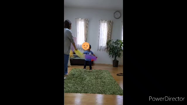 楽しいことは何回も！の記事動画