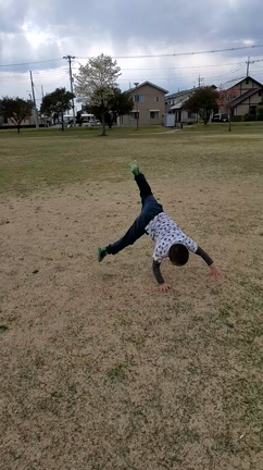 ストレスレスの記事動画