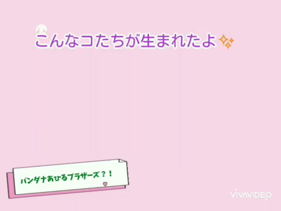 バンダナしたあひるのコあみぐるみたち♡動画でも楽しくご紹介！の記事動画