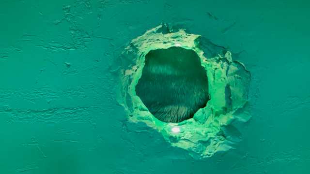 【おさんぽ日記＋優待】表参道の洋菓子店とクマから手渡されるカフェへの記事動画