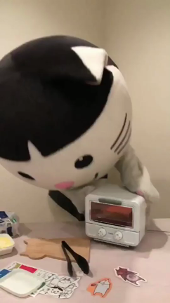 ニャ、ニャ、ニャンだ！②の記事動画