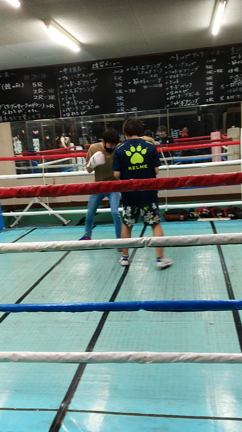 元気印の記事動画