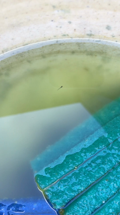 【ご報告】赤ちゃん産まれましたの記事動画