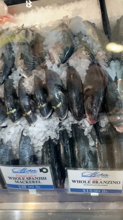 セントローレンスマーケットの記事動画