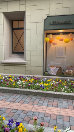 【歴史ある神戸フロインドリーブ】の記事動画