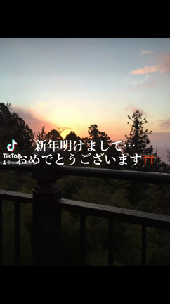 桜沙。。。仲人のつぶやき！明けましておめでとうございます。の記事動画