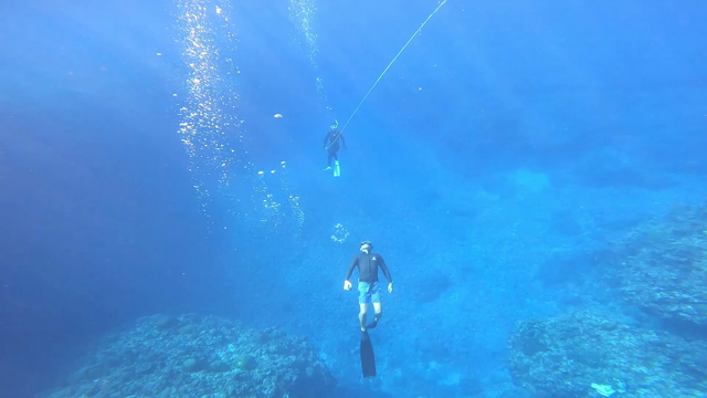 9日のレッスン♪～姫さま～☆～の記事動画