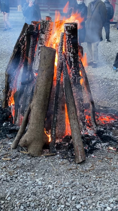 今年の気枯れは今年のうちに燃やしてしまいましょうの記事動画