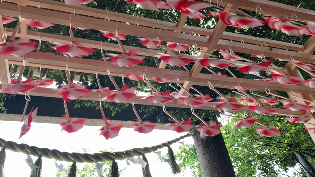 川越氷川神社。の記事動画