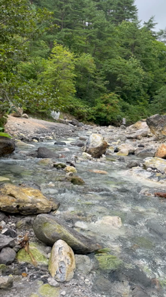 願ったら忘れたほうがいいってのはこういうことの記事動画