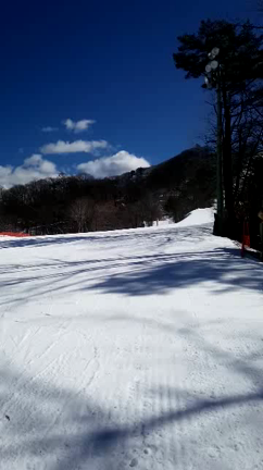 Enjoy! Winter Sports!の記事動画