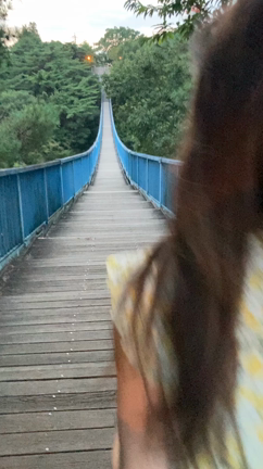 引越しました！の記事動画