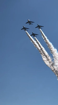 *⋆✈︎初のブルーインパルス鑑賞*⋆✈︎の記事動画