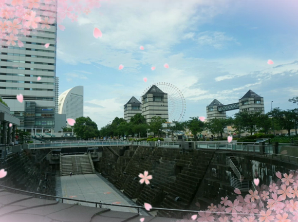 金曜日&amp;”お日様のチカラ”の記事動画