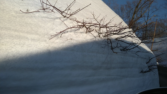 【特別編】酸ヶ湯温泉〜雪の回廊を駆け抜けてみたの記事動画