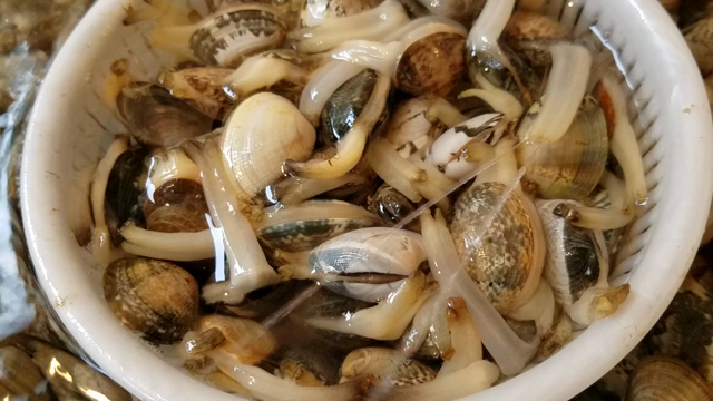 撮影中の記事動画