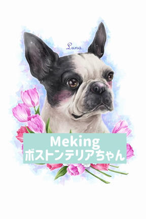 Meking～ボストンテリアちゃんの記事動画
