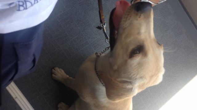 JJくん☆の記事動画