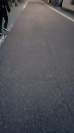 東京へ行ってきました。の記事動画