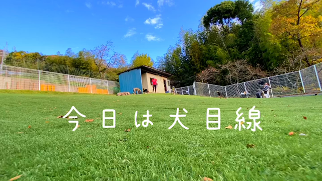 MAXとLUCAの記事動画