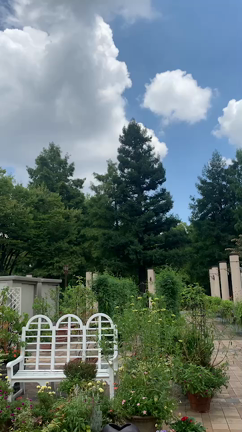 ウクレレ・サマーコンサートの記事動画