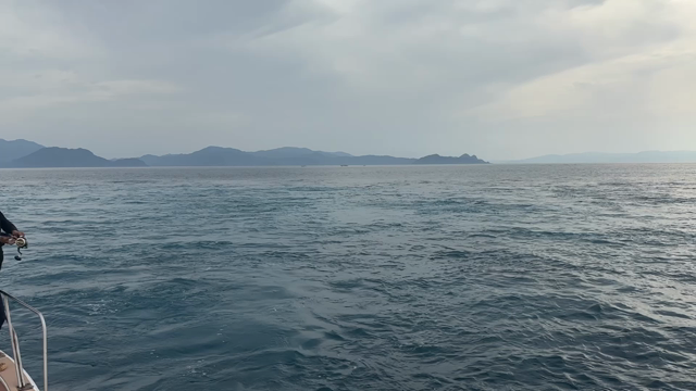 15日　マイカ半夜便♬♬♬の記事動画