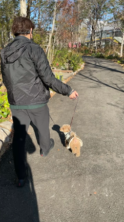 元旦の過ごし方　と　初詣は○○だから行かないの記事動画