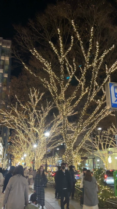 １週間の出張からカムバック！の記事動画