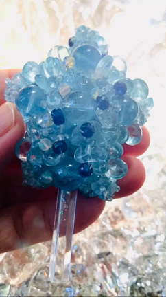 進化へ向かうアクアマリンの蒼い亀の記事動画