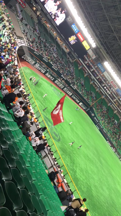 カムバック！楽しみ！の記事動画