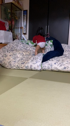 挑戦する姿を応援したいの記事動画