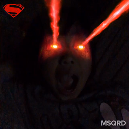 アプリで遊んでみたの記事動画