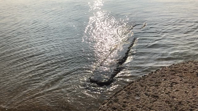 尾道市向島 干汐の海の記事動画