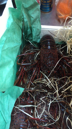 明けましておめでとうございますの記事動画