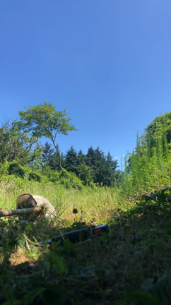 金太郎の記事動画