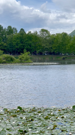 ビブラフォンリサイタル2022のご案内の記事動画