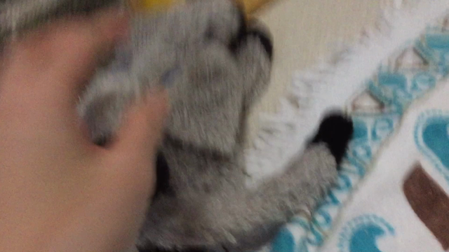 笑い転げるアイツ☆の記事動画