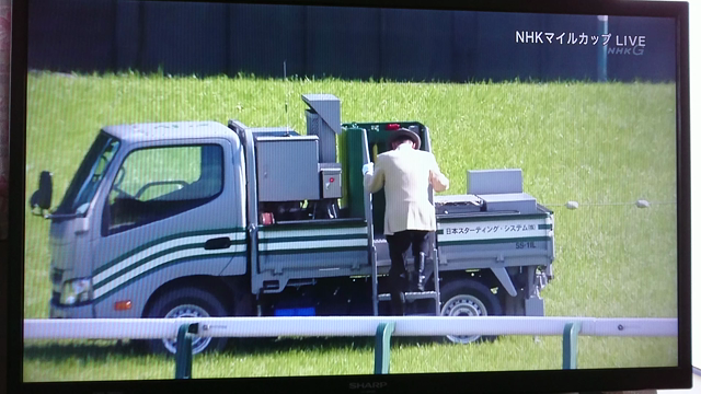 NHKマイルカップのファンファーレの記事動画