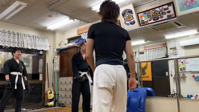 ハト道場の記事動画