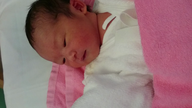 まめた生後2日目の動画の記事動画