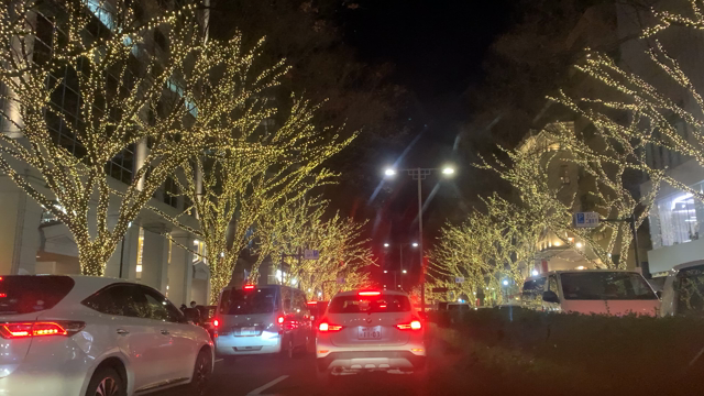 12月のイルミネーションの記事動画