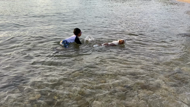 ガッカリした日は思い出そうの記事動画