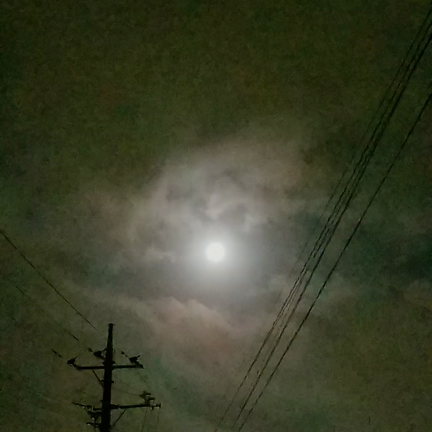 「台風と満月」＠2019.8.16：妃ジュエルのひとり言の記事動画